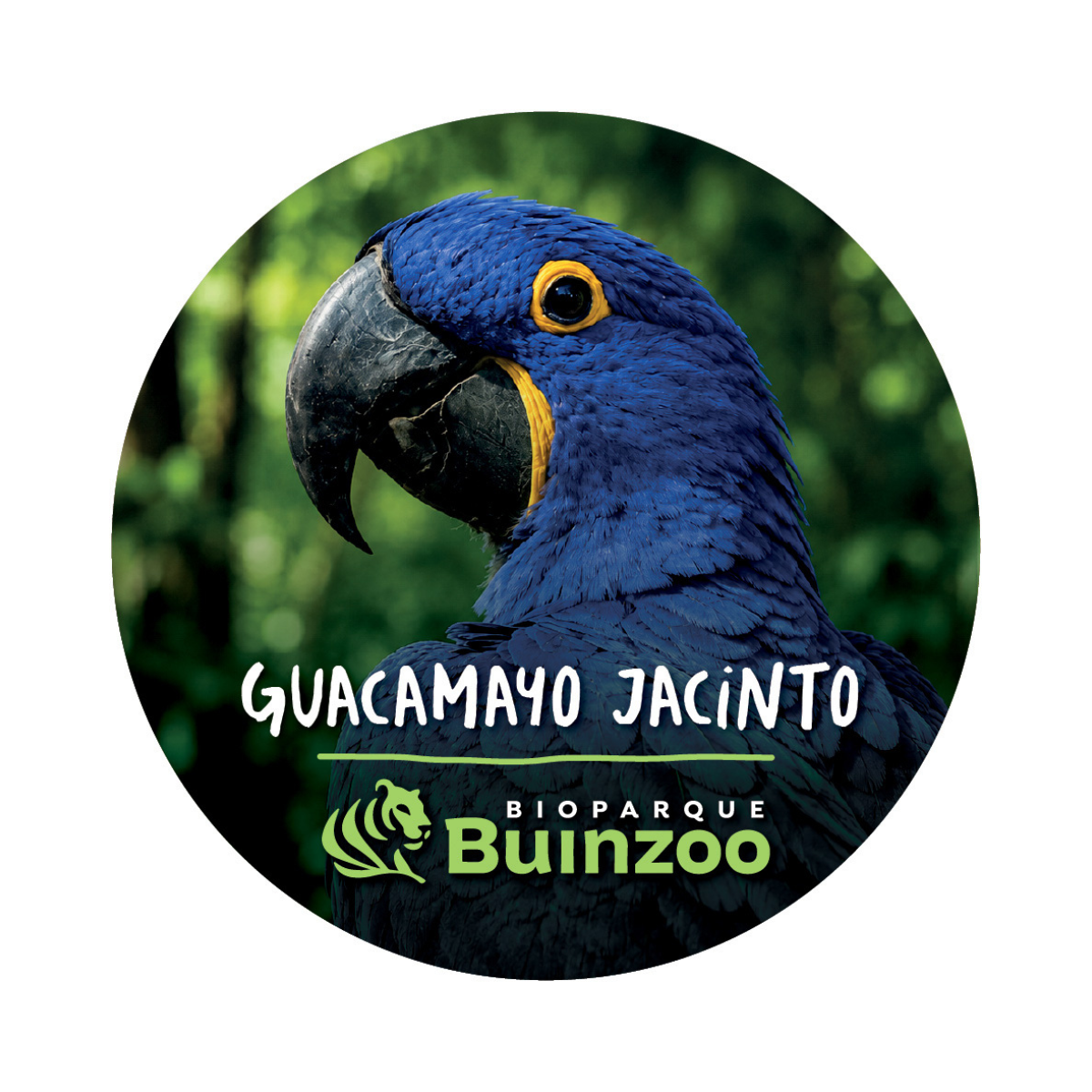 Destapador Imán forma Chapita de Animales del Bioparque Buinzoo