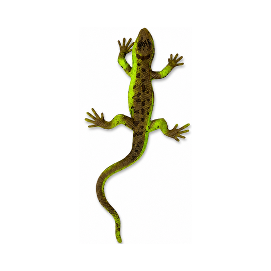 Juguete de Goma Soft Feel Lagarto Marrón Buinzoo