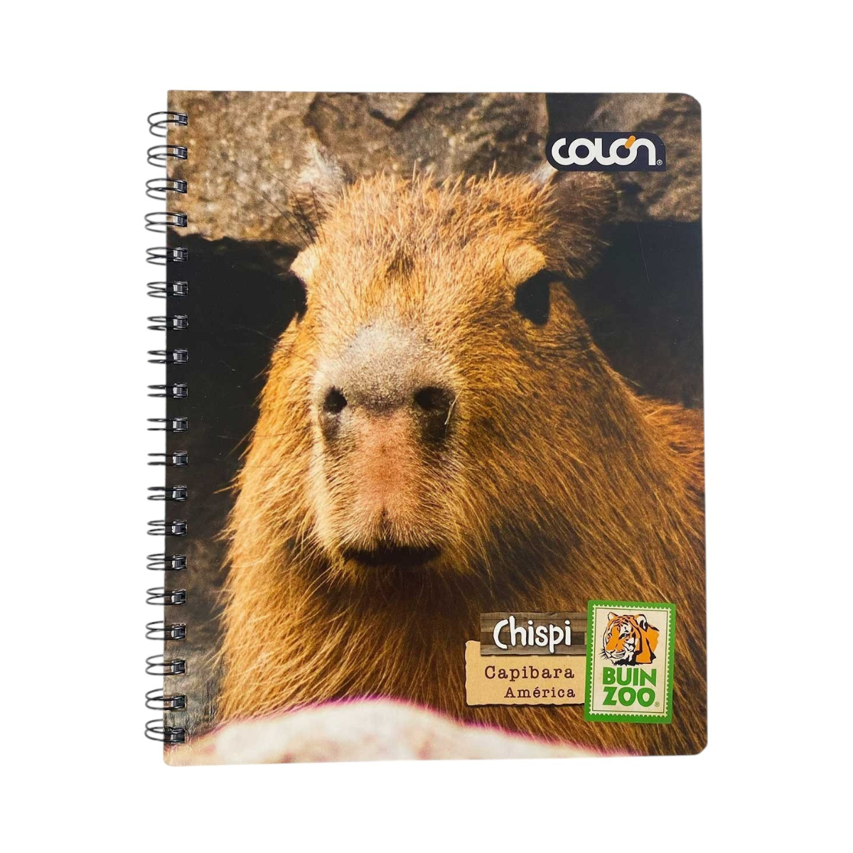 Cuaderno Universitario Variedades Animales 100 Hojas Buinzoo