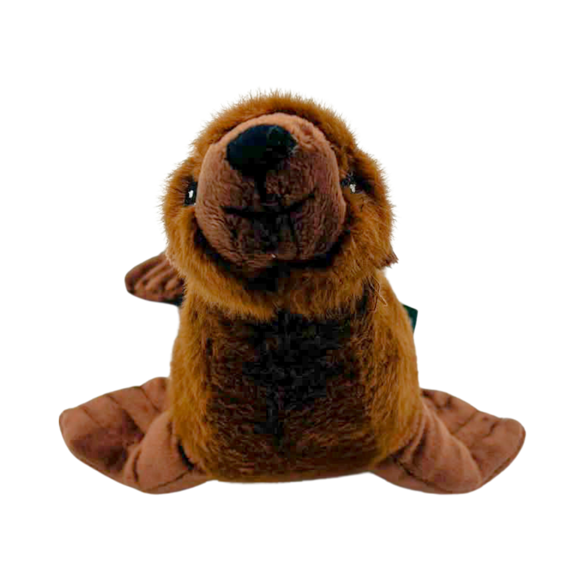 Peluche Leon de Mar 25 cm Buinzoo