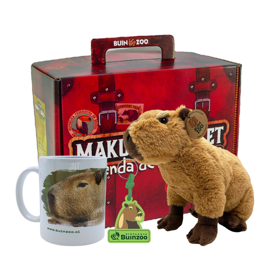 Caja Productos de Capibara Buinzoo