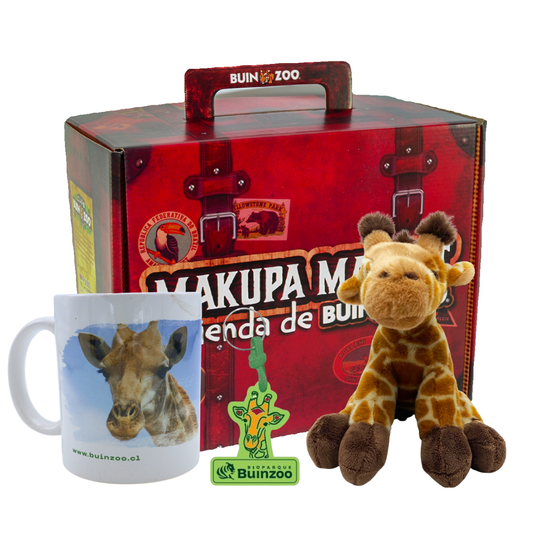 Caja Productos de Jirafa Buinzoo