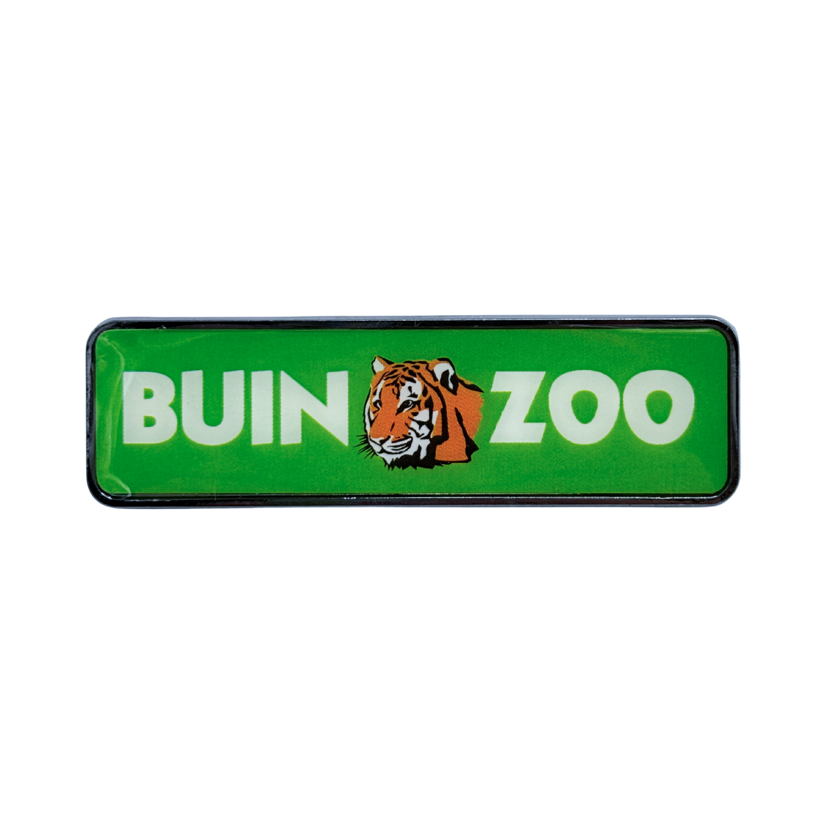 Pin Logo Color Buinzoo