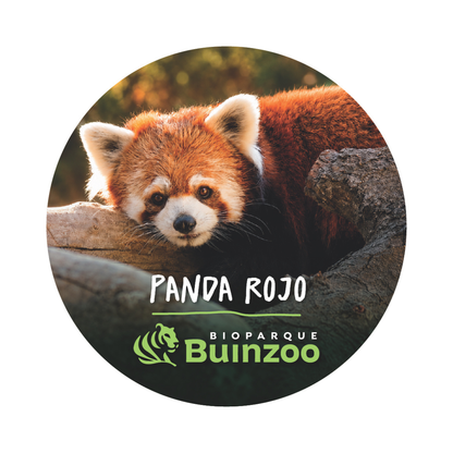 Destapador Imán forma Chapita de Animales del Bioparque Buinzoo