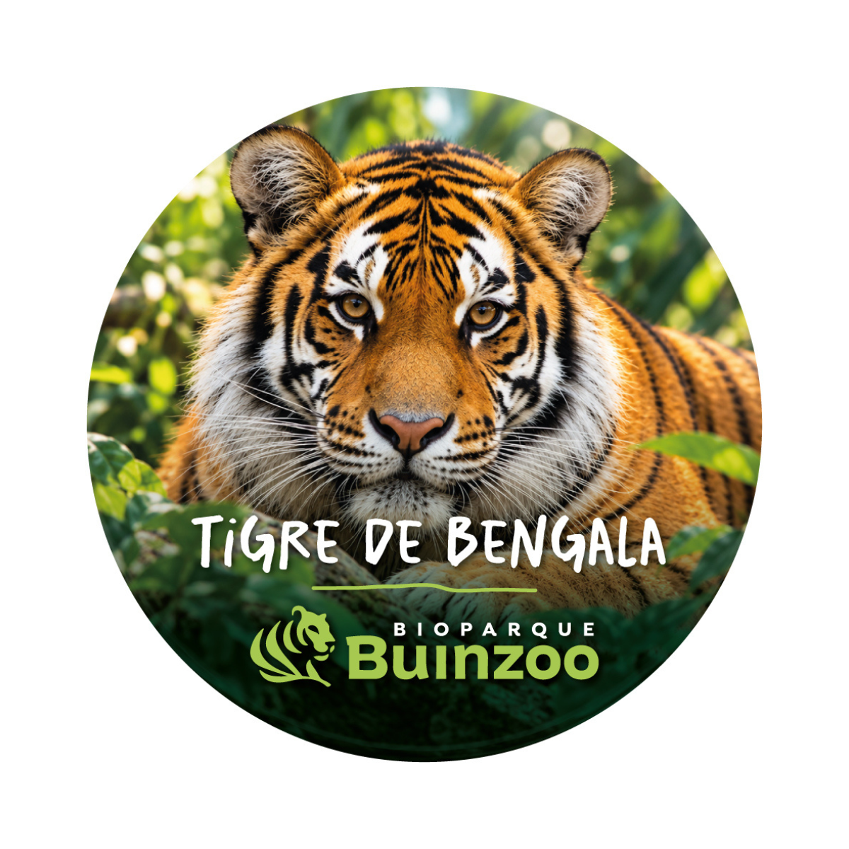 Chapita Grande Animales del Bioparque Buinzoo