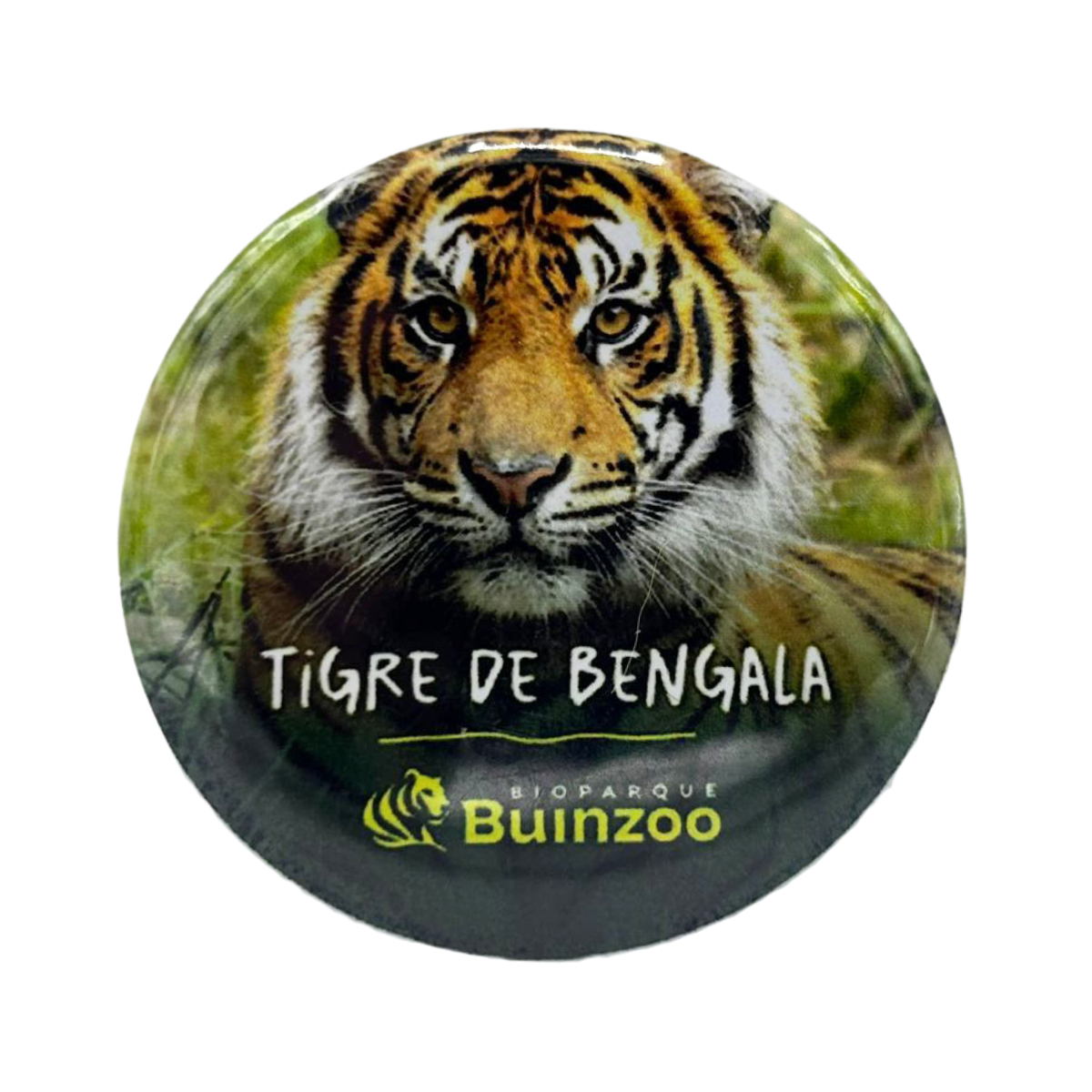 Chapita Pequeña Animales del Bioparque Buinzoo