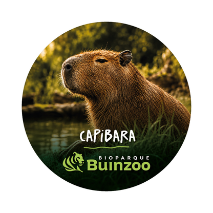 Destapador Imán forma Chapita de Animales del Bioparque Buinzoo