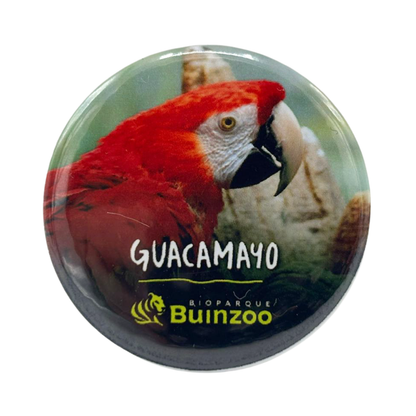 Chapita Pequeña Animales del Bioparque Buinzoo