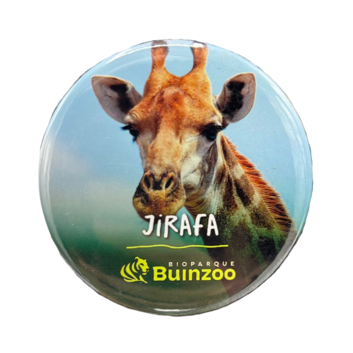 Chapita Pequeña Animales del Bioparque Buinzoo