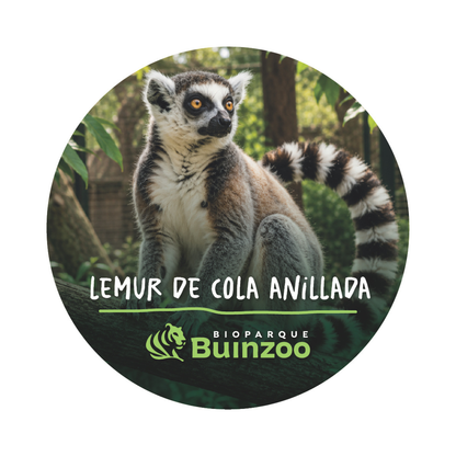 Chapita Grande Animales del Bioparque Buinzoo