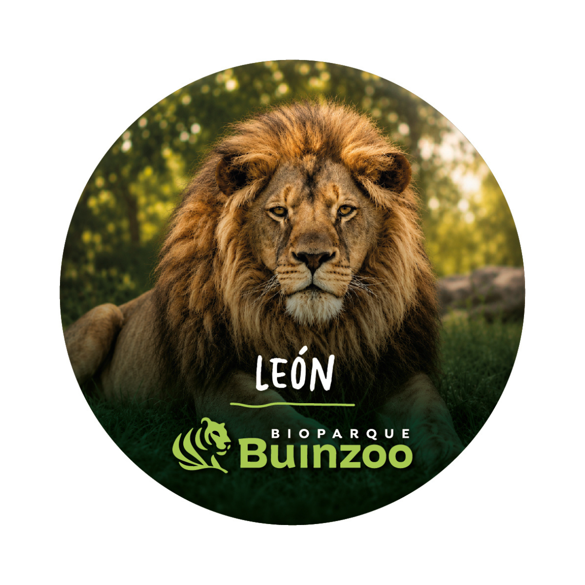 Destapador Imán forma Chapita de Animales del Bioparque Buinzoo