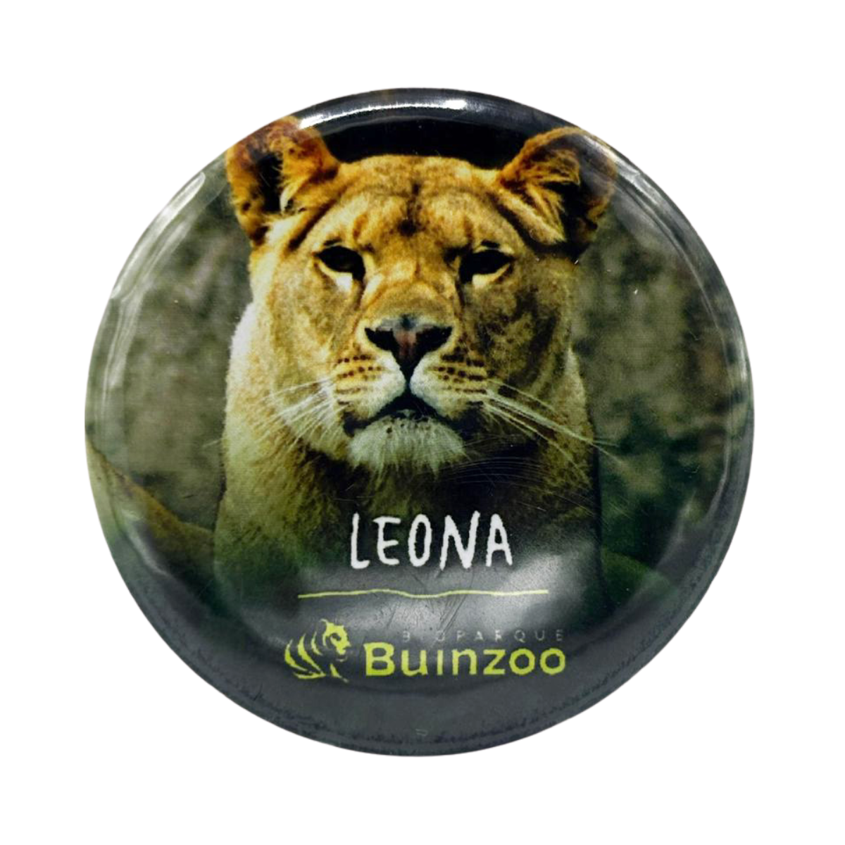 Chapita Pequeña Animales del Bioparque Buinzoo