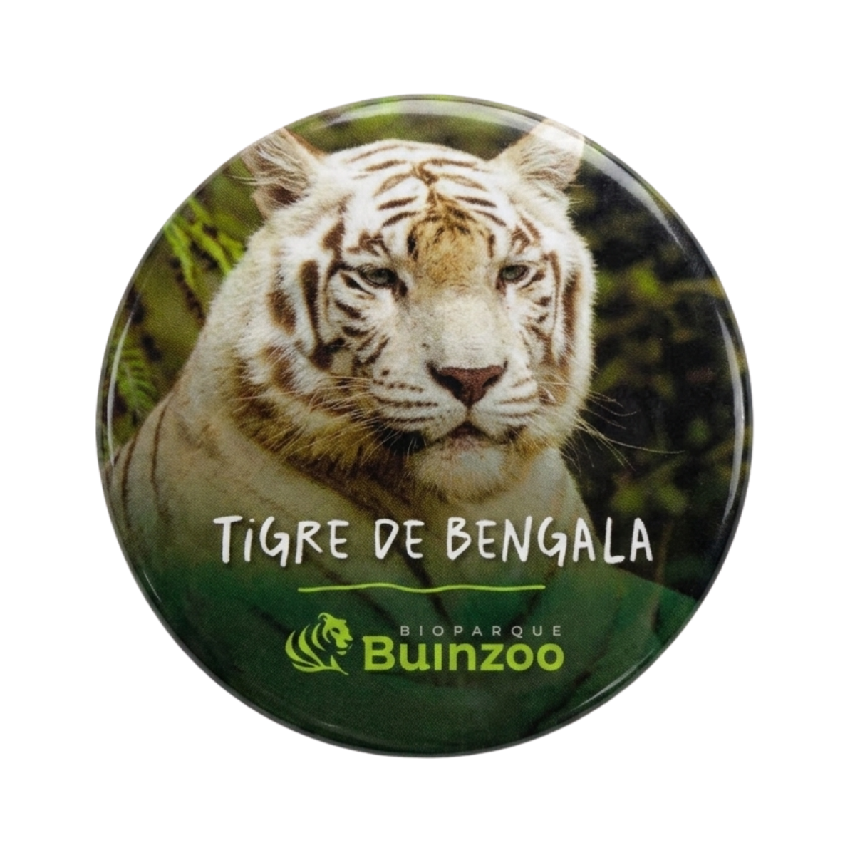 Chapita Pequeña Animales del Bioparque Buinzoo