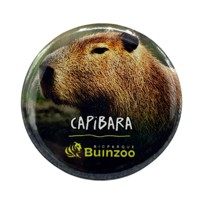 Chapita Pequeña Animales del Bioparque Buinzoo
