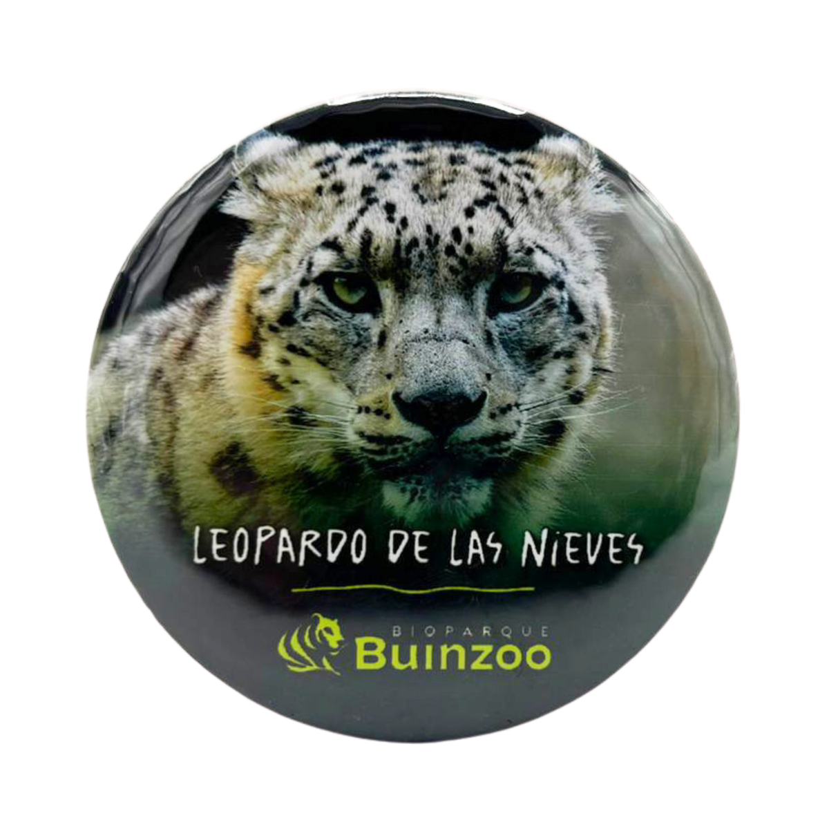 Chapita Pequeña Animales del Bioparque Buinzoo