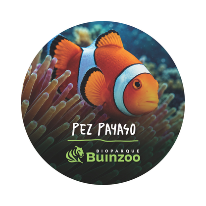 Chapita Grande Animales del Bioparque Buinzoo