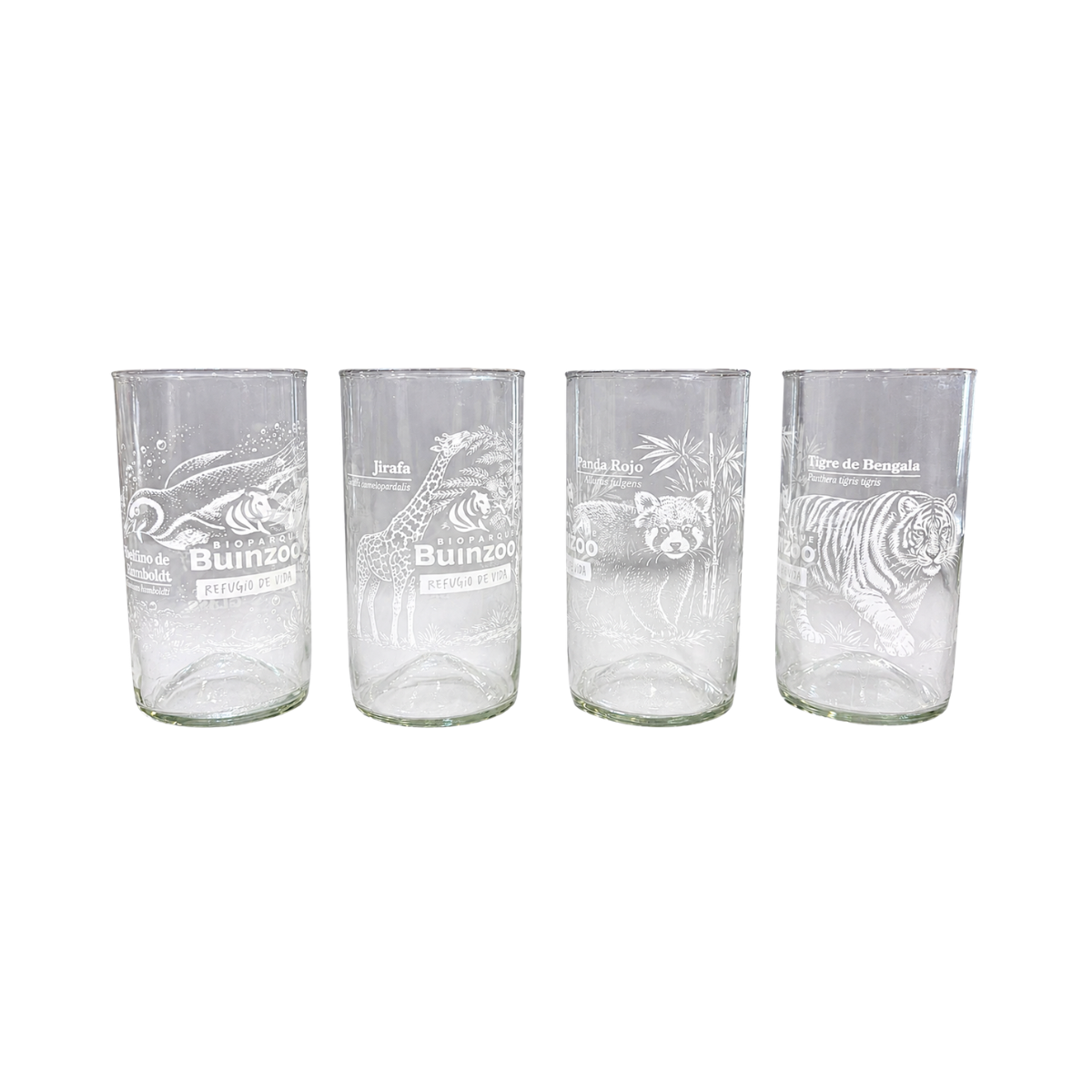 Set 4 Vasos de 500ml Animales del Bioparque Buinzoo