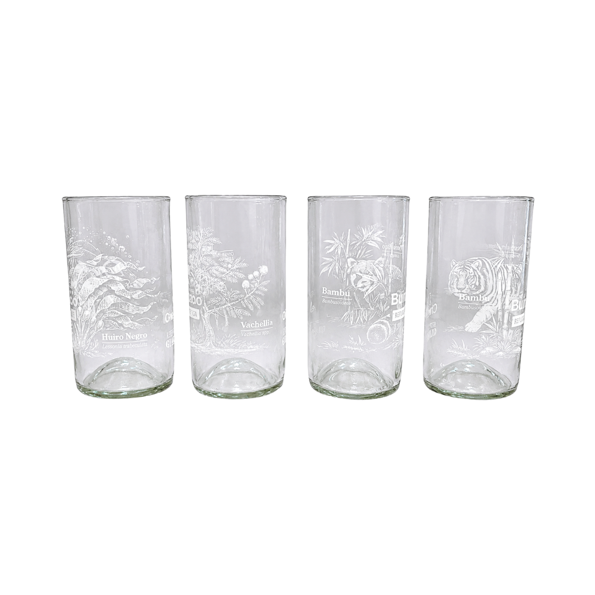 Set 4 Vasos de 500ml Animales del Bioparque Buinzoo