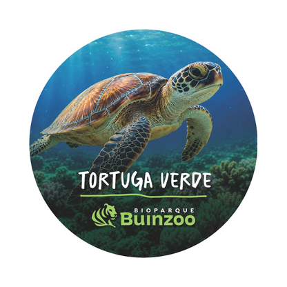 Destapador Imán forma Chapita de Animales del Bioparque Buinzoo