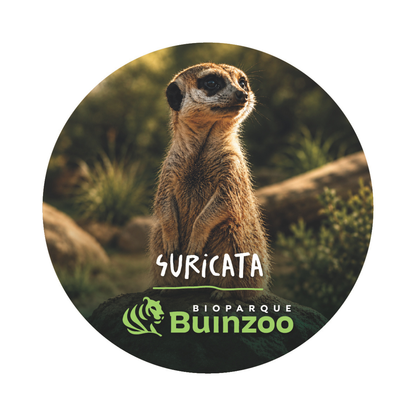 Destapador Imán forma Chapita de Animales del Bioparque Buinzoo