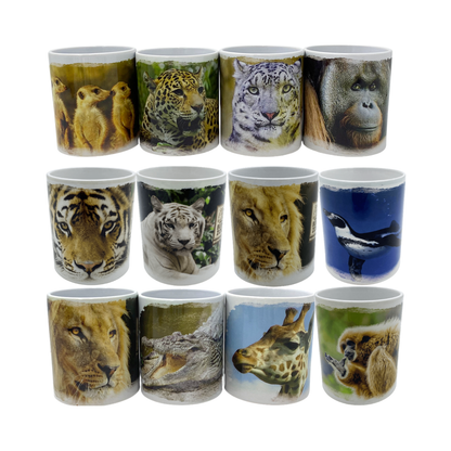 Taza Variedades 300ml Buinzoo