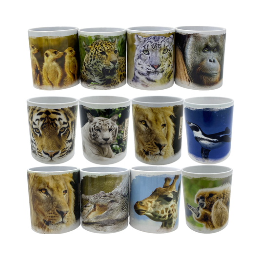 Taza Variedades 300ml Buinzoo