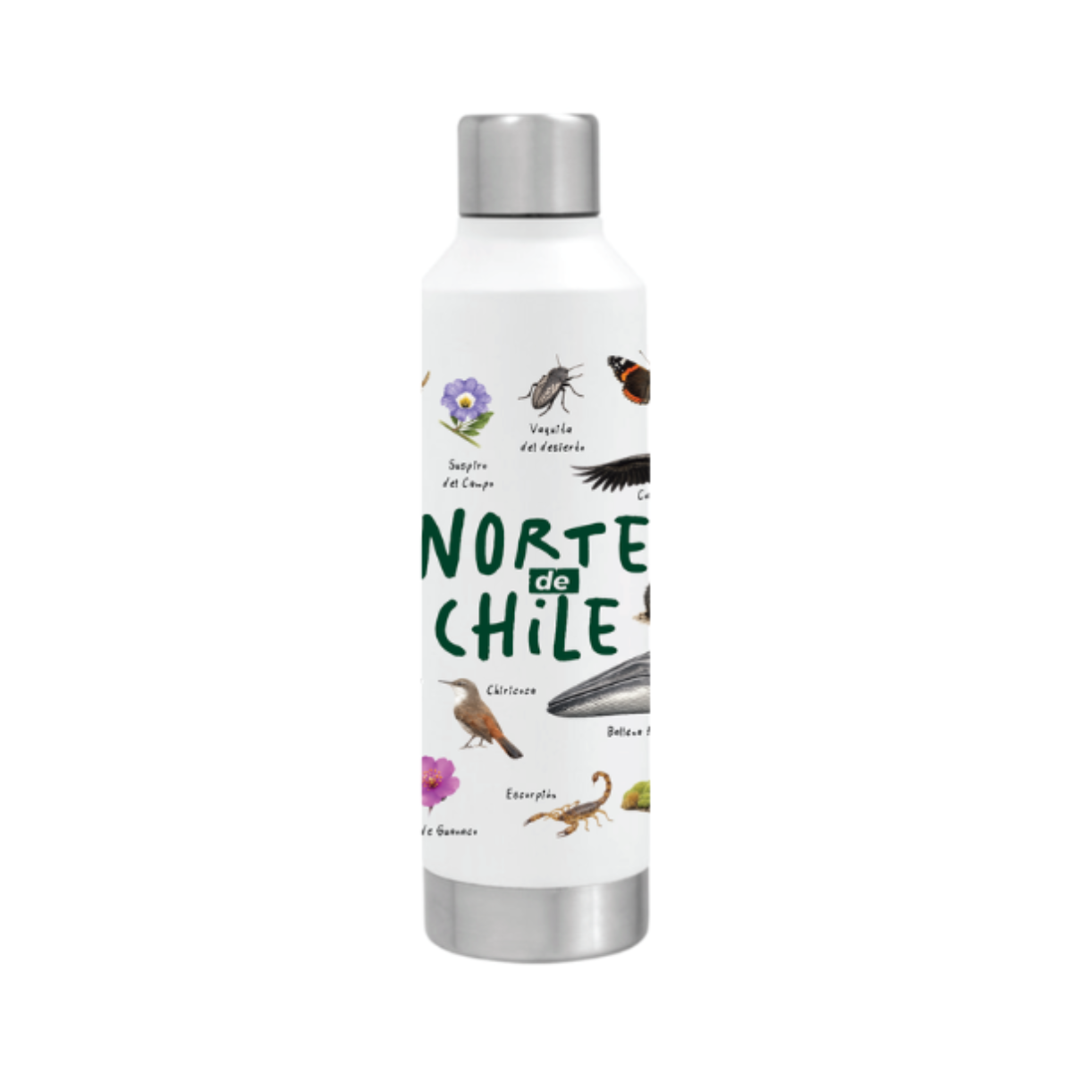 Botella Térmica Norte de Chile 550ml Buinzoo