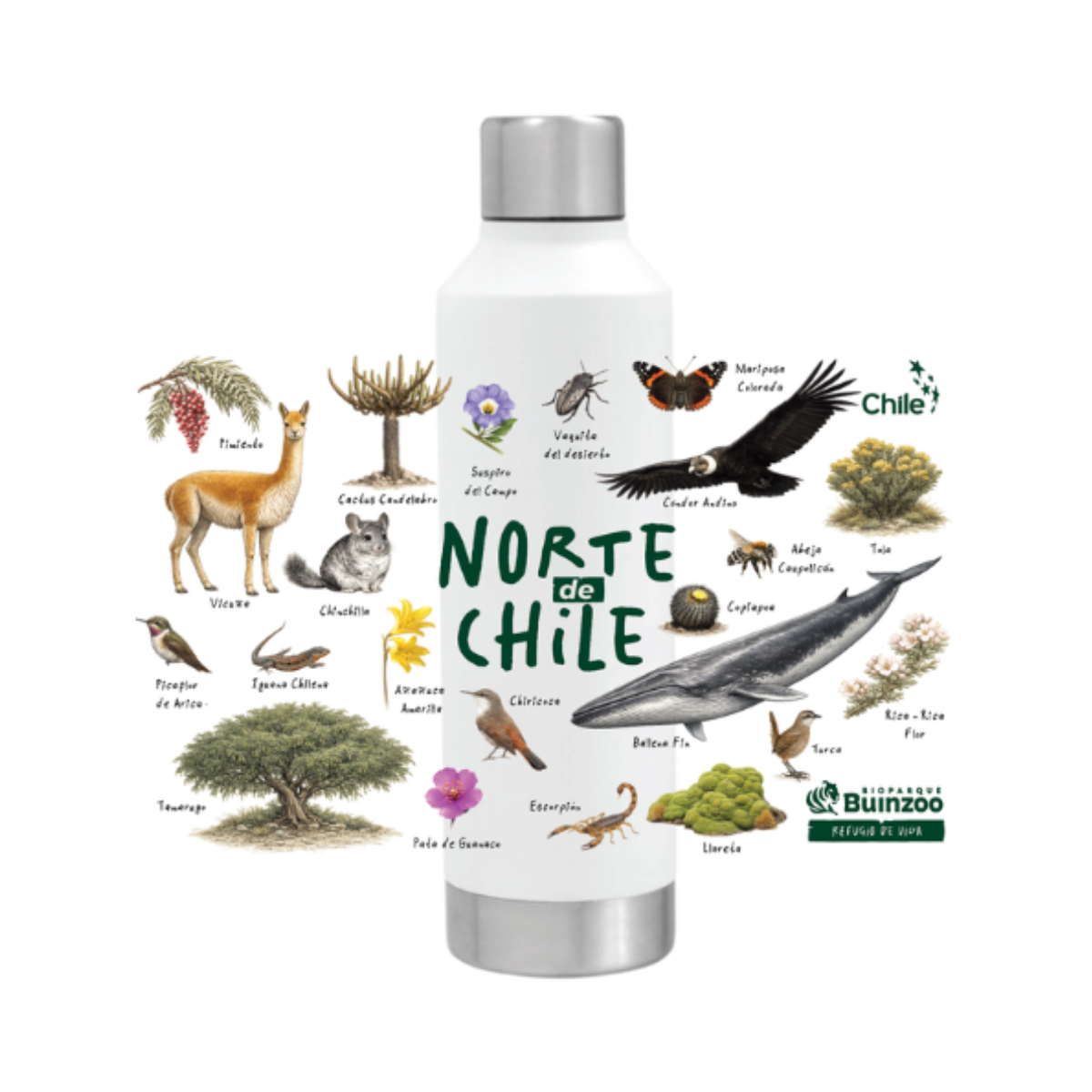 Botella Térmica Norte de Chile 550ml Buinzoo