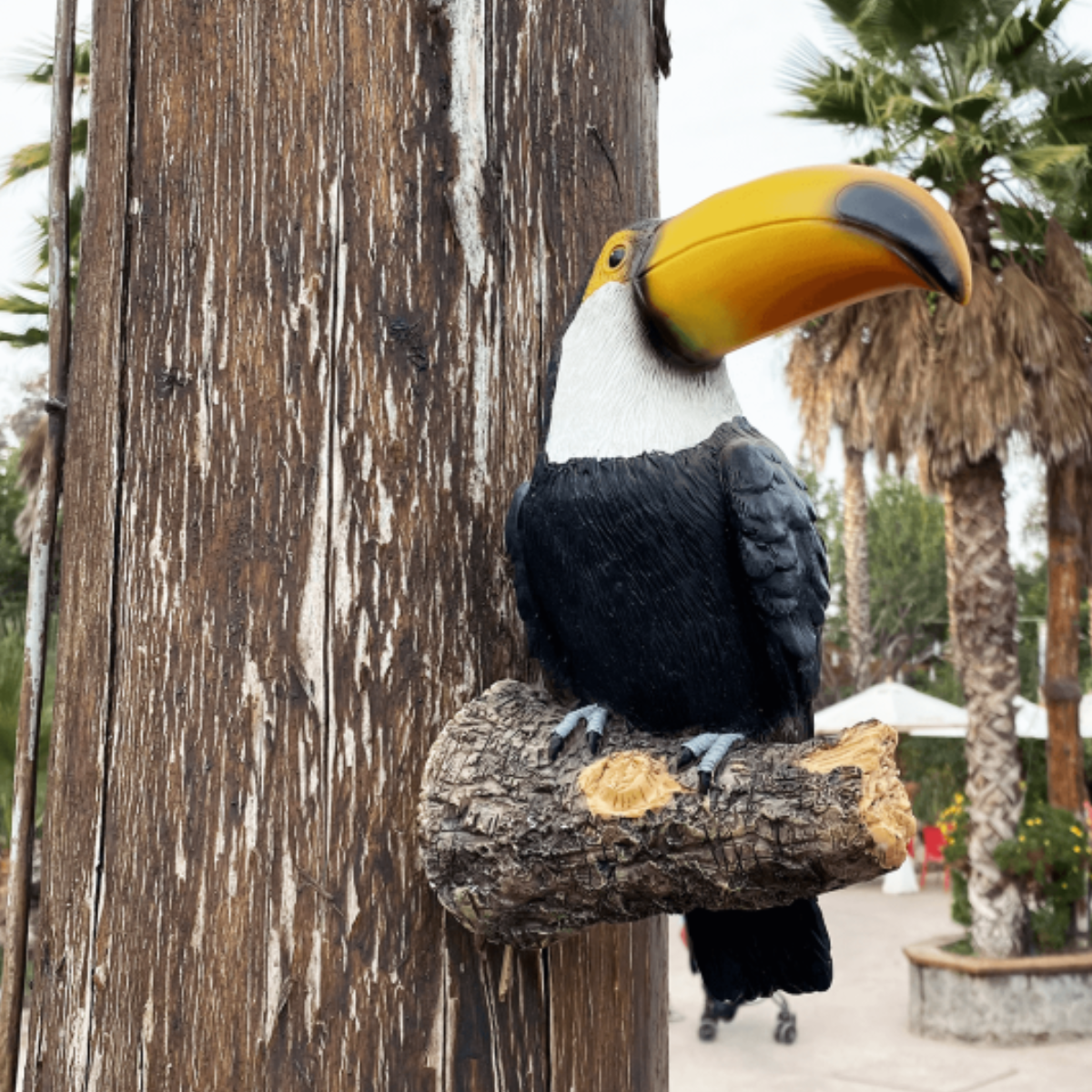 Figura Decorativa Tucan 30 cm Buinzoo