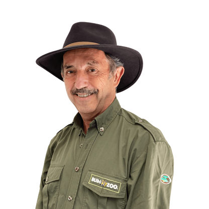 Sombrero Fieltro de Lana con Hebilla Doctor Zoo