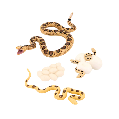 Set Juguete Ciclo de Vida Serpiente y Insectos Buinzoo