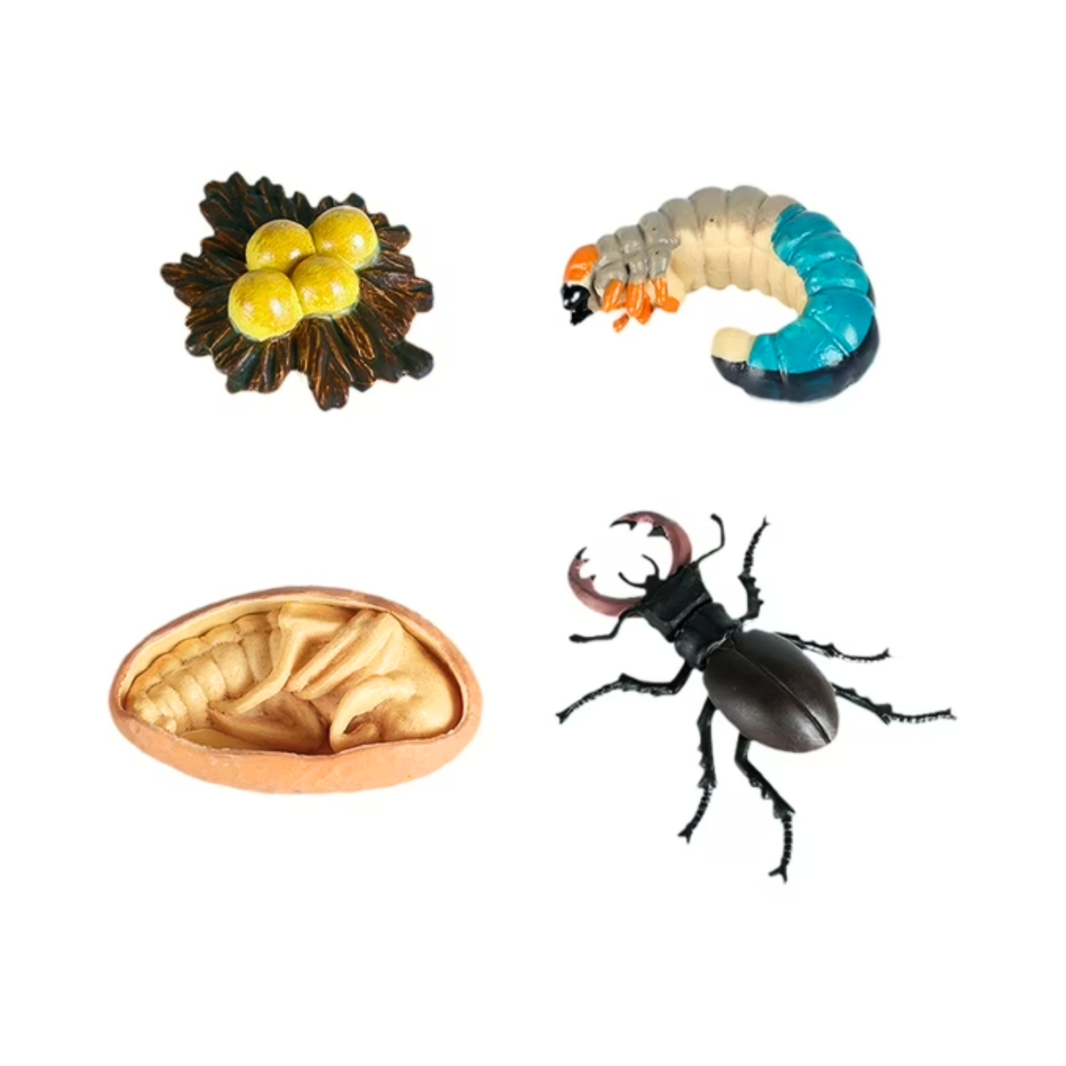 Set Juguete Ciclo de Vida Serpiente y Insectos Buinzoo