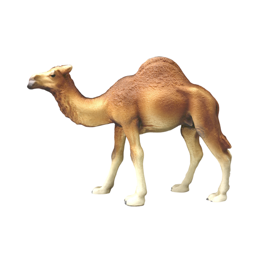 Figura Animal Camello Buinzoo