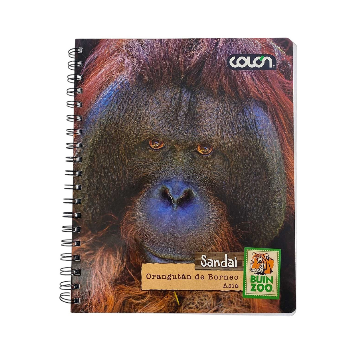 Cuaderno Universitario Variedades Animales 100 Hojas Buinzoo