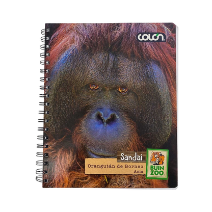 Cuaderno Universitario Variedades Animales 100 Hojas Buinzoo