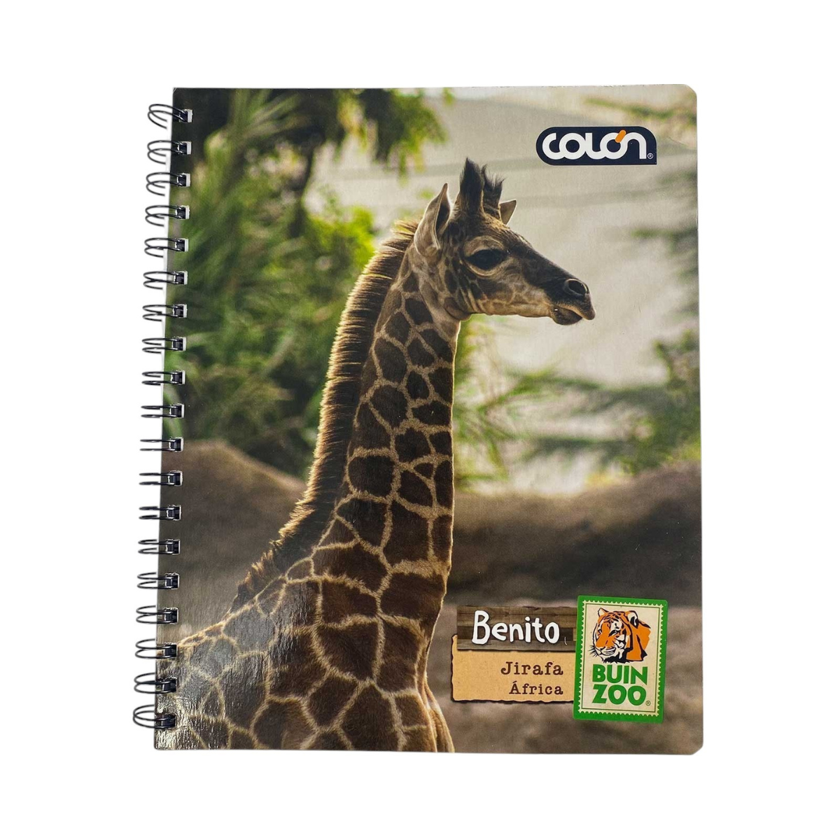 Cuaderno Universitario Variedades Animales 100 Hojas Buinzoo