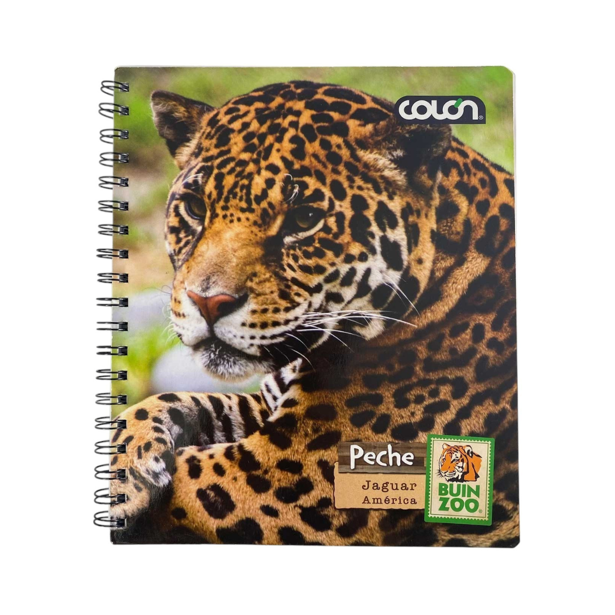 Cuaderno Universitario Variedades Animales 100 Hojas Buinzoo