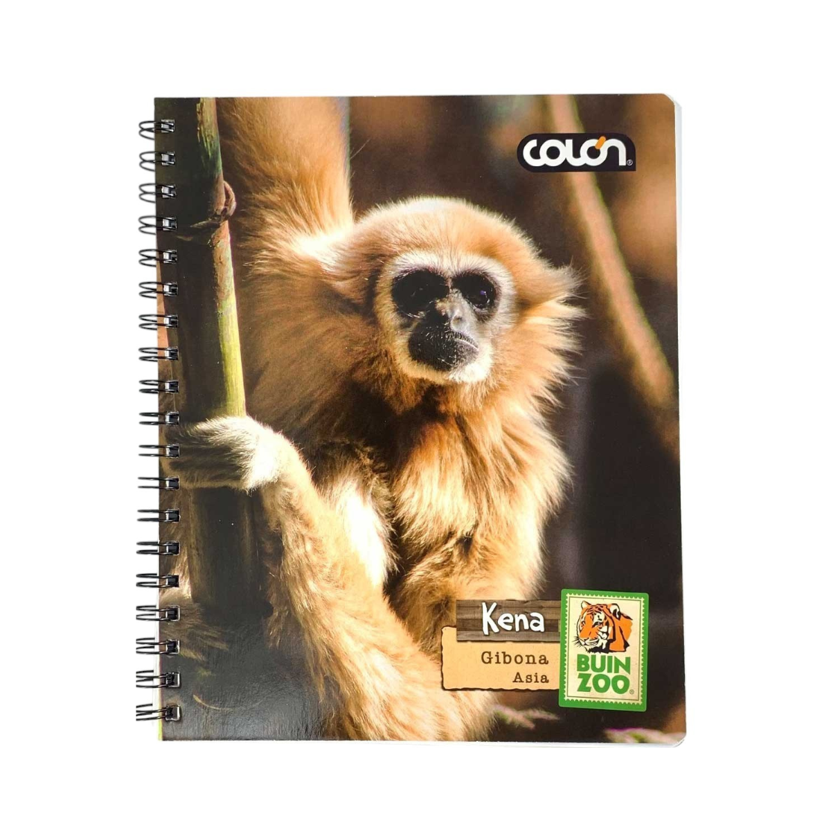 Cuaderno Universitario Variedades Animales 100 Hojas Buinzoo