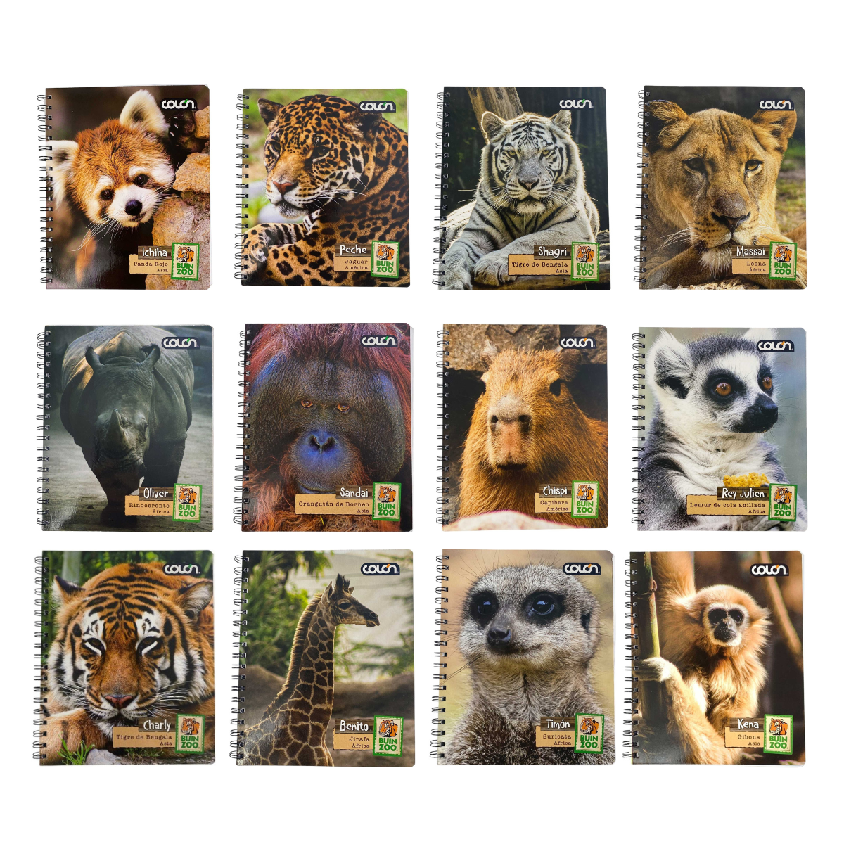 Cuaderno Universitario Variedades Animales 100 Hojas Buinzoo