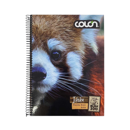 Cuaderno Top 3 Materias 150 Hojas Buinzoo Colon