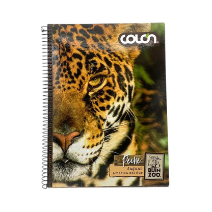 Cuaderno Top 3 Materias 150 Hojas Buinzoo Colon