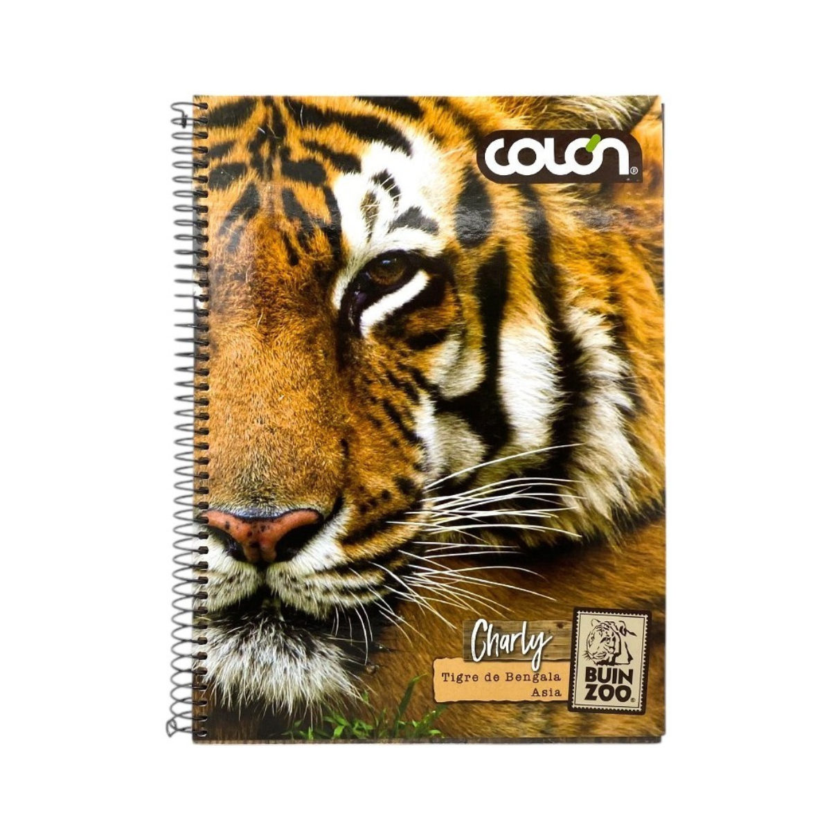 Cuaderno Top 3 Materias 150 Hojas Buinzoo Colon