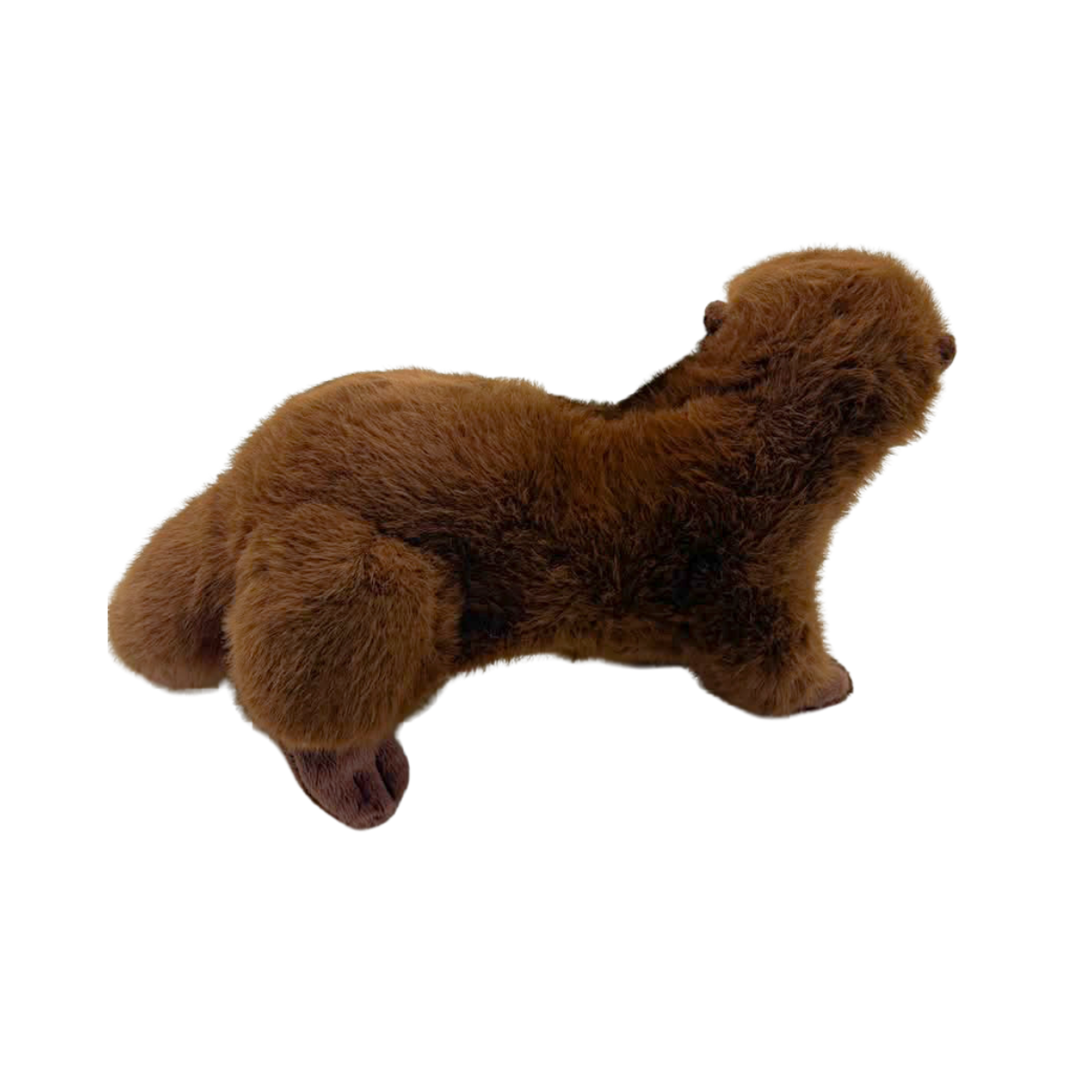 Peluche Nutria 18 cm Buinzoo