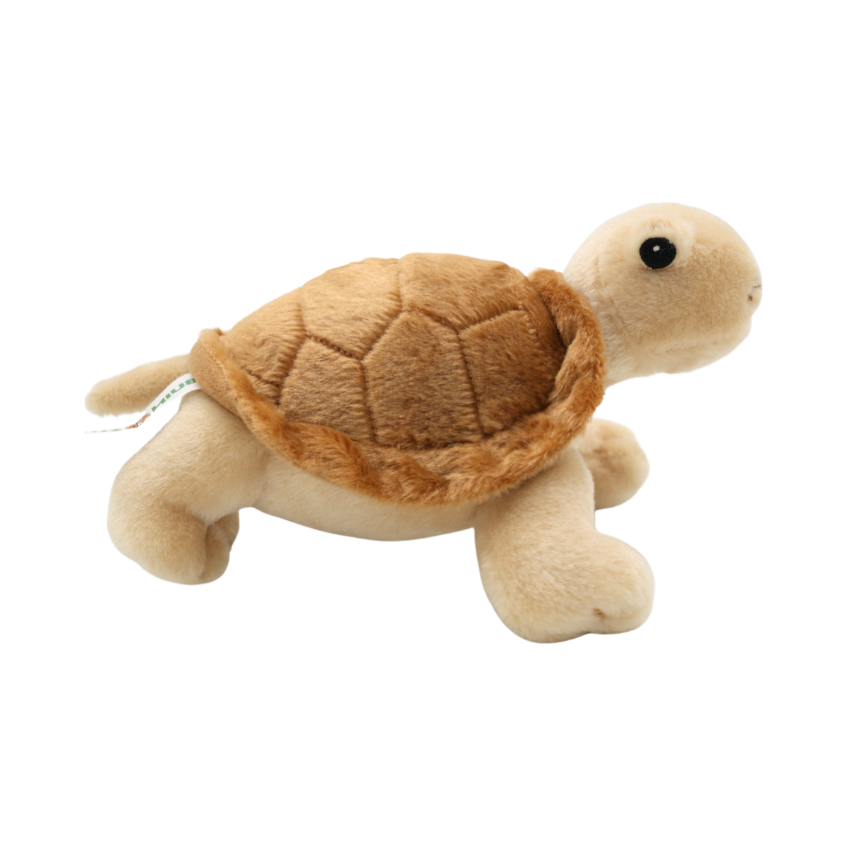 Peluche Tortuga 20 cm Buinzoo