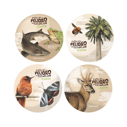 Chapita normal Especies En Peligro Buinzoo