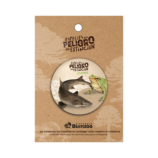 Chapita normal Especies En Peligro Buinzoo