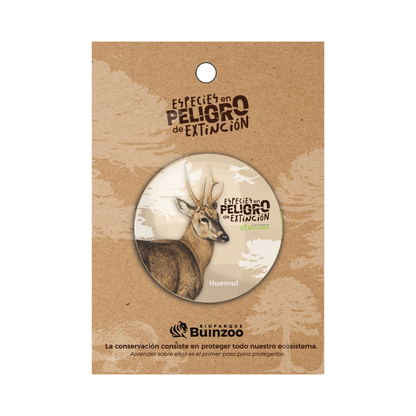 Chapita normal Especies En Peligro Buinzoo