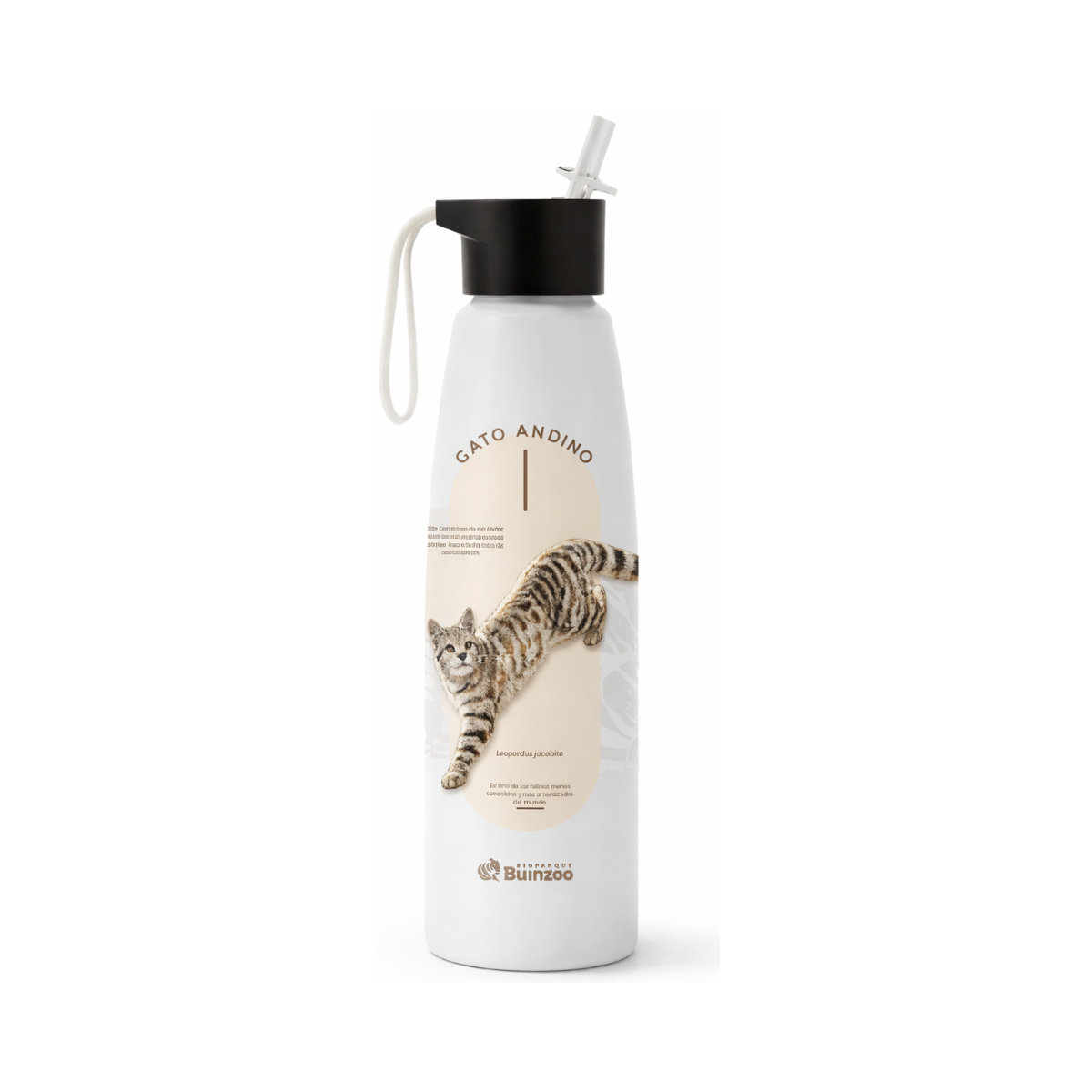 Botella Aluminio Gato Andino Especies En Peligro Buinzoo