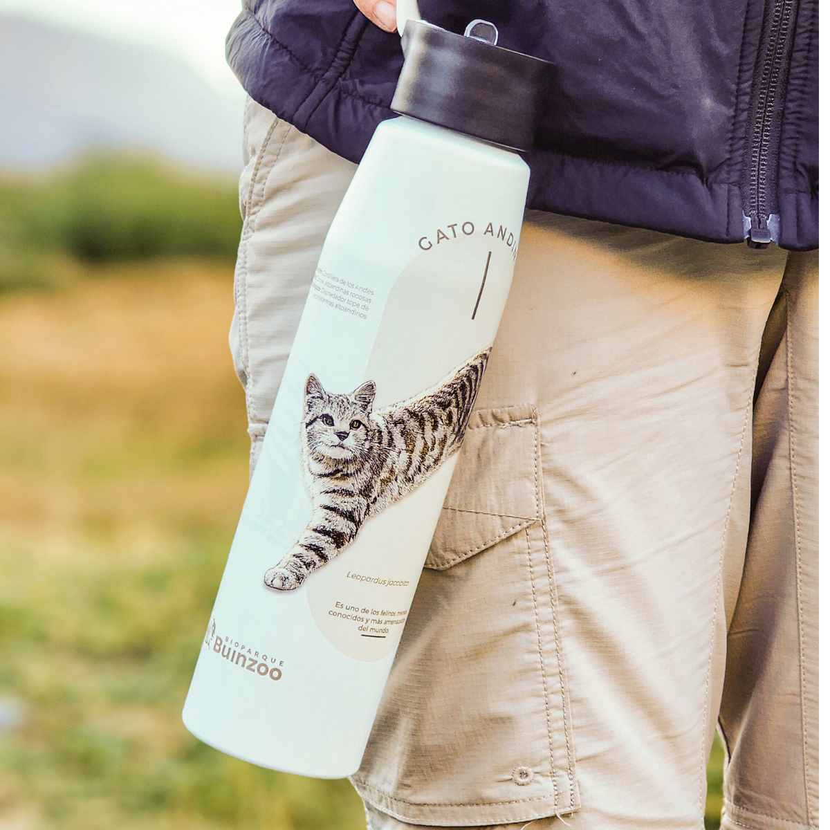 Botella Aluminio Gato Andino Especies En Peligro Buinzoo