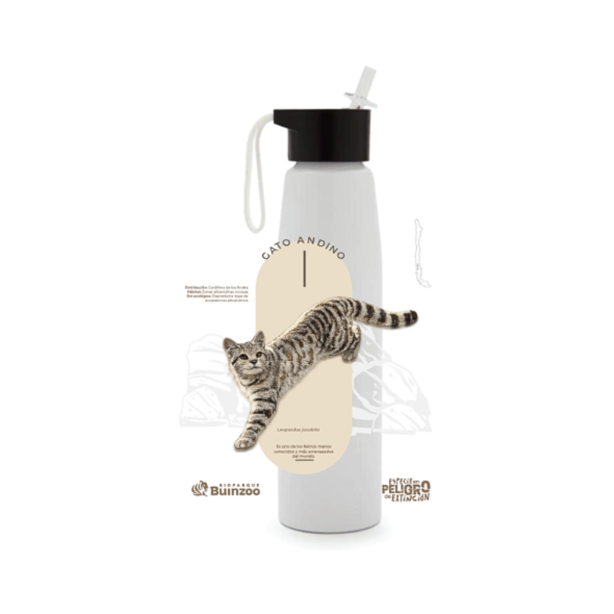 Botella Aluminio Gato Andino Especies En Peligro Buinzoo